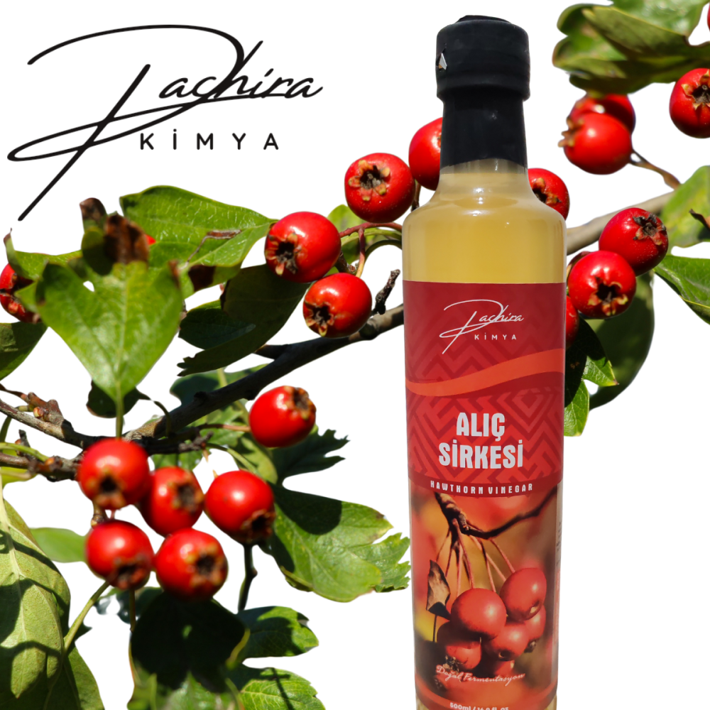 ALIÇ SİRKESİ